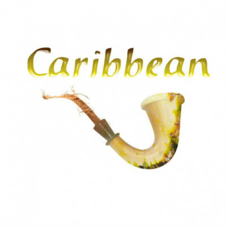 Concentré Azhad's Elixirs - Caribbean - 10ml