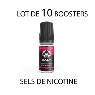 Lot de 10 Booster aux Sels de Nicotine 50PG/50VG Salt E-Vapor