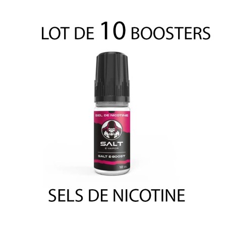 Lot de 10 Booster aux Sels de Nicotine 50PG/50VG Salt E-Vapor