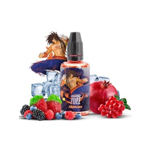 Concentré HIZAGIRI Fighter Fuel 30ml