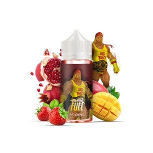 Liquide HOGANO Fighter Fuel 100ml