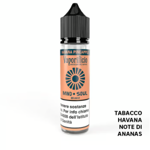 Concentré Havana Pineapple Vaporificio 20ml