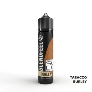 Concentré Burley Blendfeel Solo 20ml
