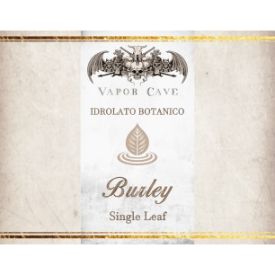 Concentré 20ml Vapor Cave - Ghost - Pure - Burley