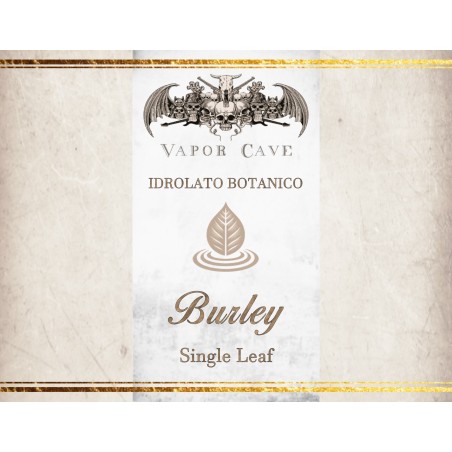 Concentré 20ml Vapor Cave - Ghost - Pure - Burley