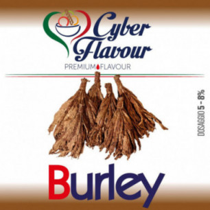 Concentré Cyber Flavour - Burley 10ml