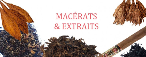 Qu'est-ce que les NET (Natural Extract of Tobacco) ? 
